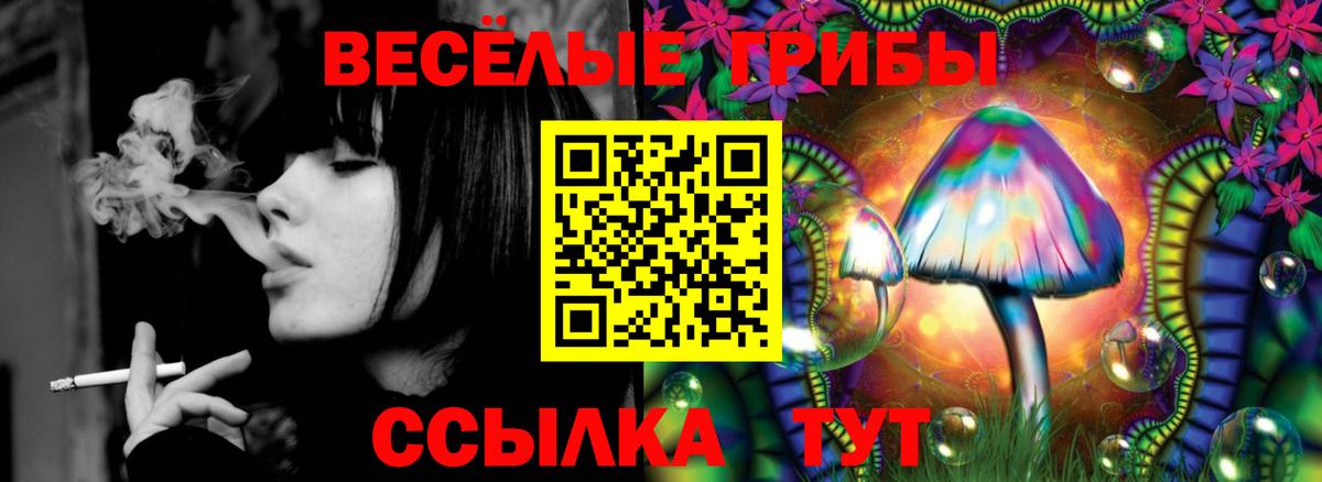 Мыски  наркошоп  Вход с VPN  Галлюциногенные грибы Magic Shrooms 